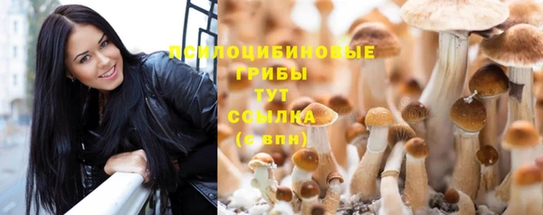 Альфа ПВП Новодвинск