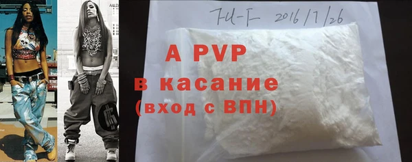 Альфа ПВП Новодвинск