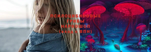 спайс Новозыбков