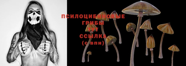 спайс Новозыбков
