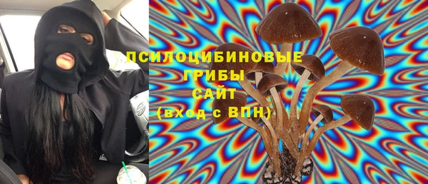 спайс Новозыбков