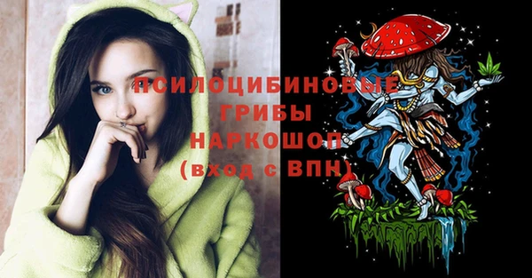 Альфа ПВП Новодвинск