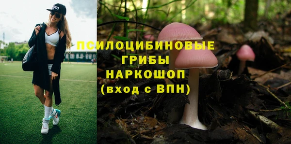 стафф Белая Холуница