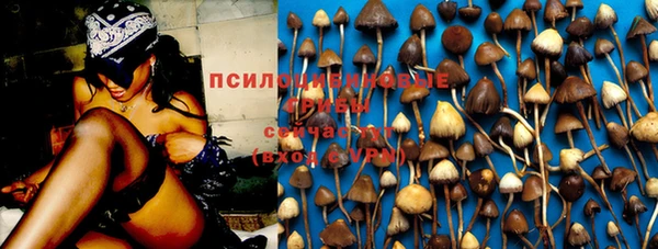 PSILOCYBIN Новокубанск