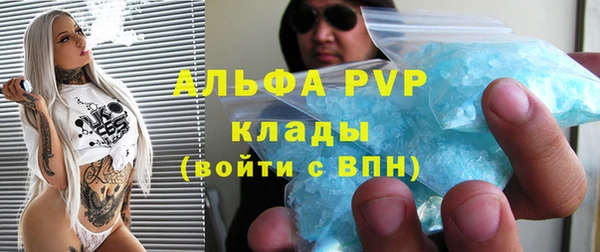 PSILOCYBIN Новокубанск