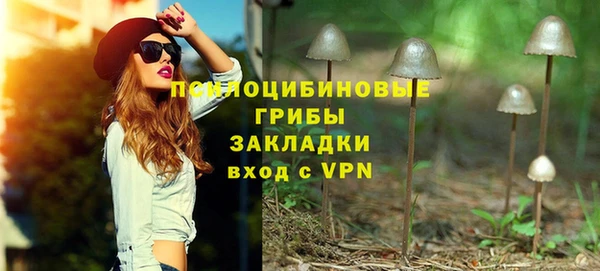 PSILOCYBIN Новокубанск