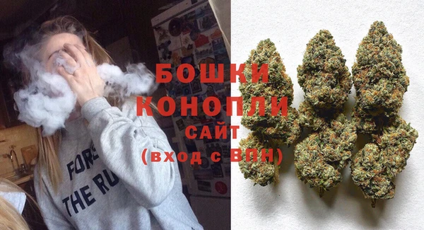 PSILOCYBIN Новокубанск