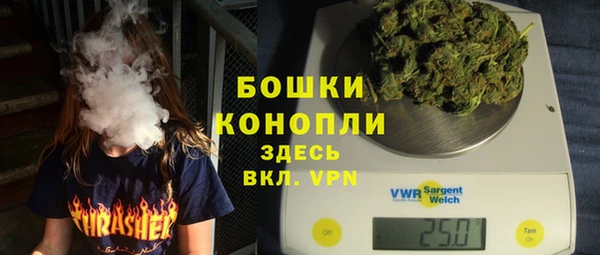PSILOCYBIN Новокубанск