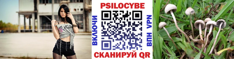 Галлюциногенные грибы Cubensis Сорочинск