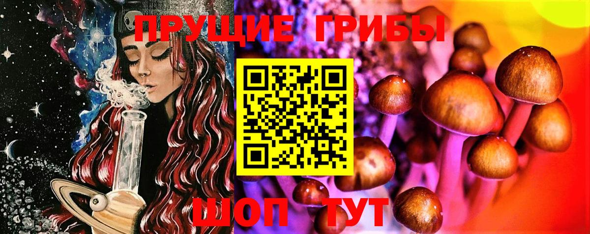 Псилоцибиновые грибы Psilocybe  Вход с VPN  Сорочинск  Галлюциногенные грибы мухоморы 