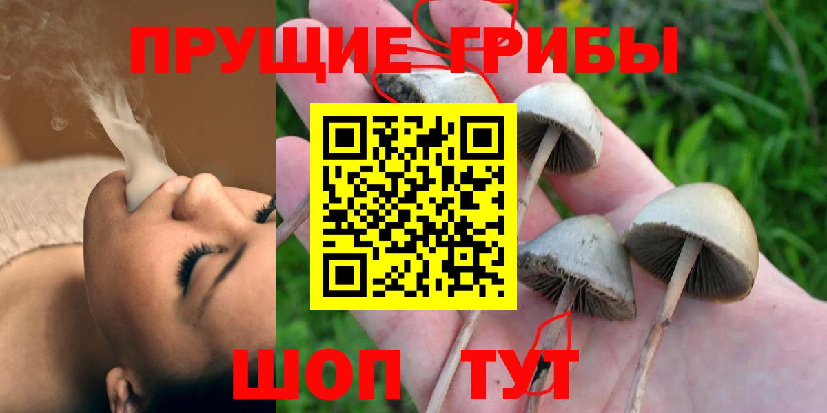 Сорочинск  Псилоцибиновые грибы мухоморы  Вход с VPN 